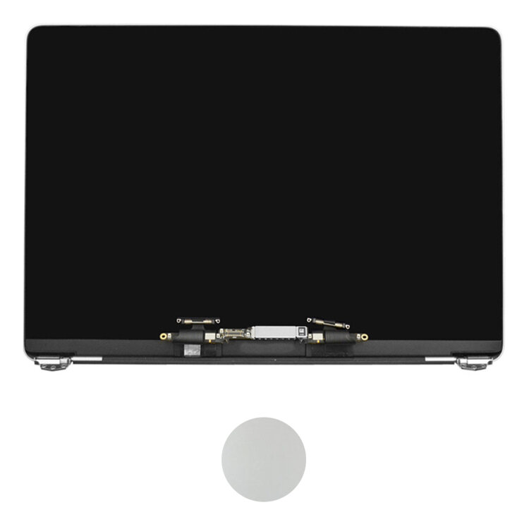 Retina display / scherm (Zilver) voor Apple MacBook Pro Retina 16-inch A2141