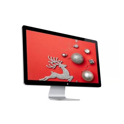 24-inch Apple Cinema Display 1920 x 1200 LED Beeldscherm